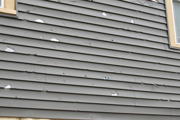 Affordable Siding Repair and Maintenance Services in Monterey, CA